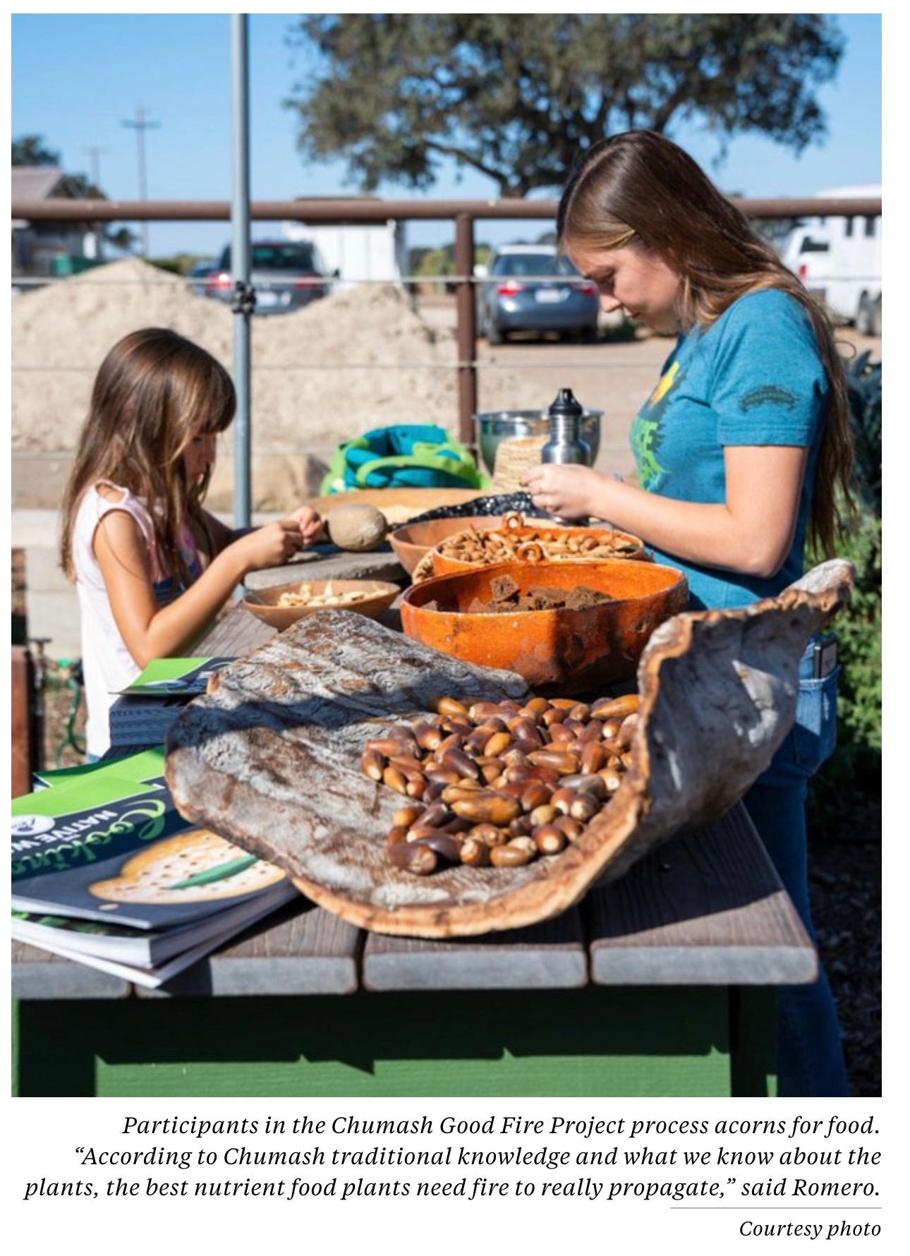 Participants in the Chumash Good Fire Project process acorns for food. “According to Chumash traditional knowledge and what we know about the plants, the best nutrient food plants need fire to really propagate,” said Romero. Courtesy photo