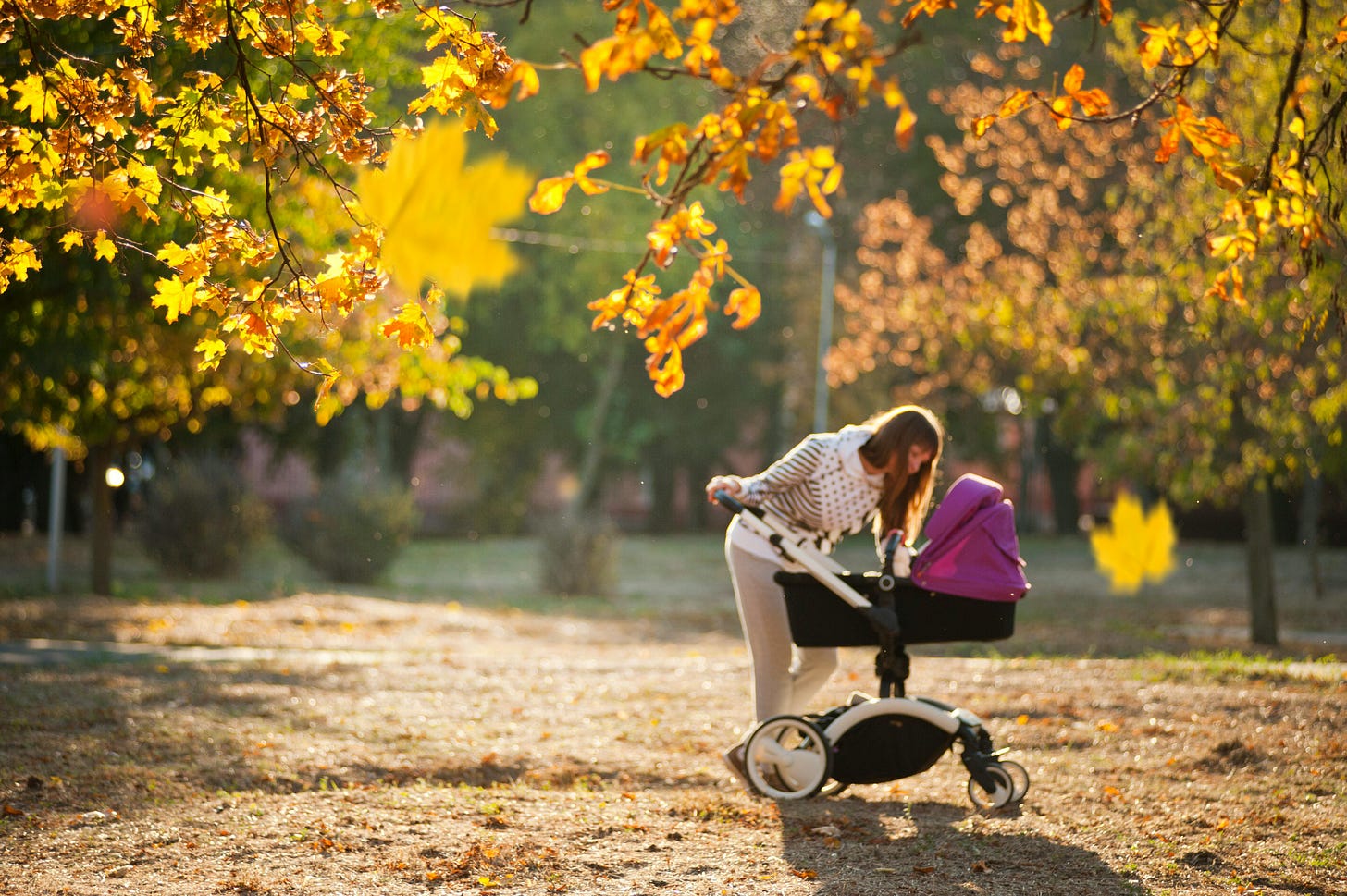 Free Woman In Grey Pants Holding Black And Purple Stroller  Stock Photo