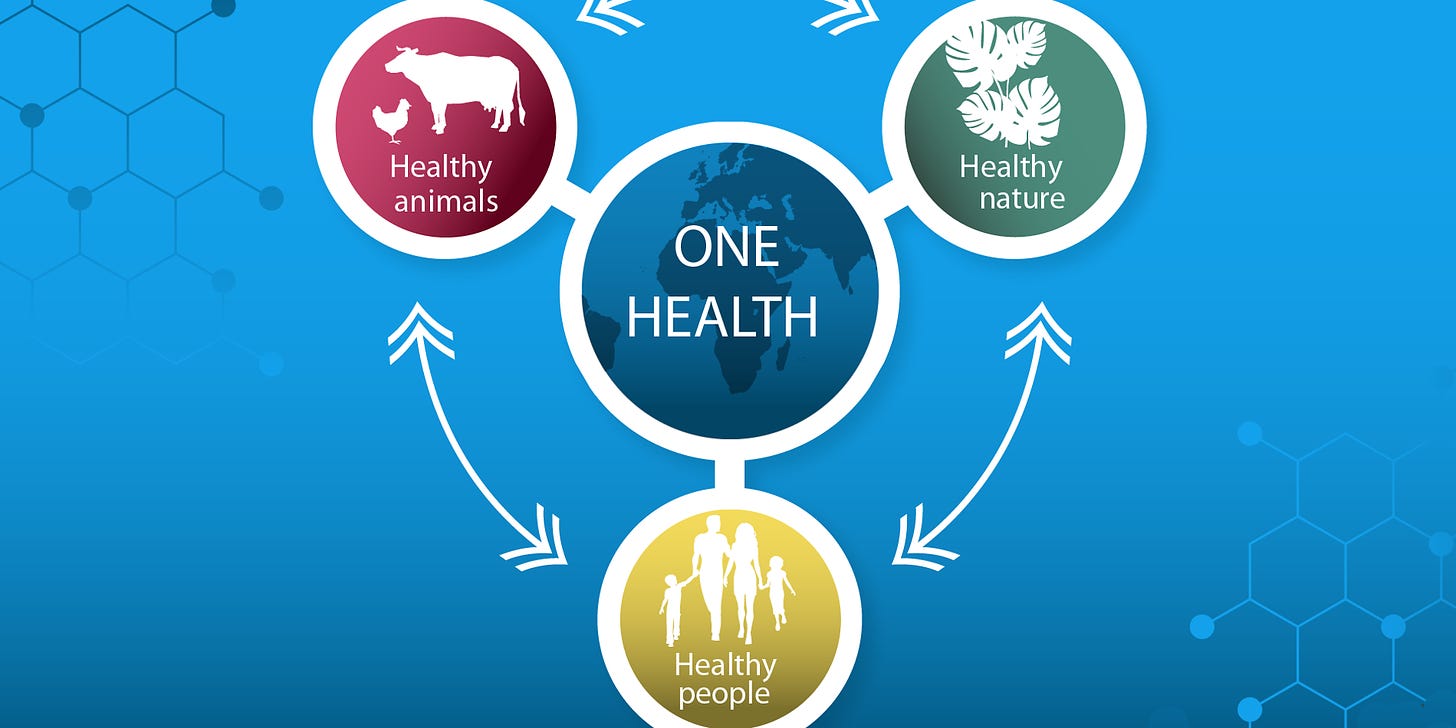 One Health | BMZ