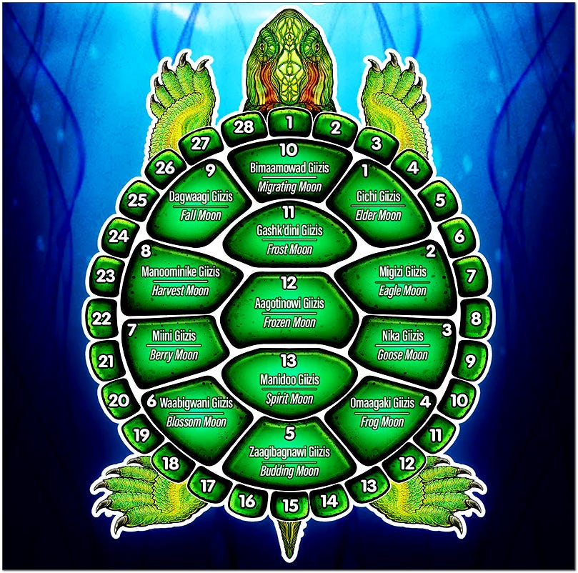 calendar on turtle's back