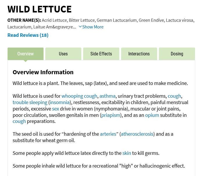 wild lettuce