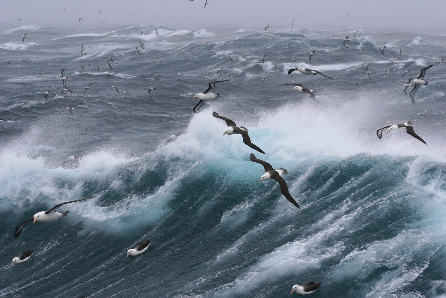 The Drake Passage - An Infamous Ocean Voyage to Antarctica