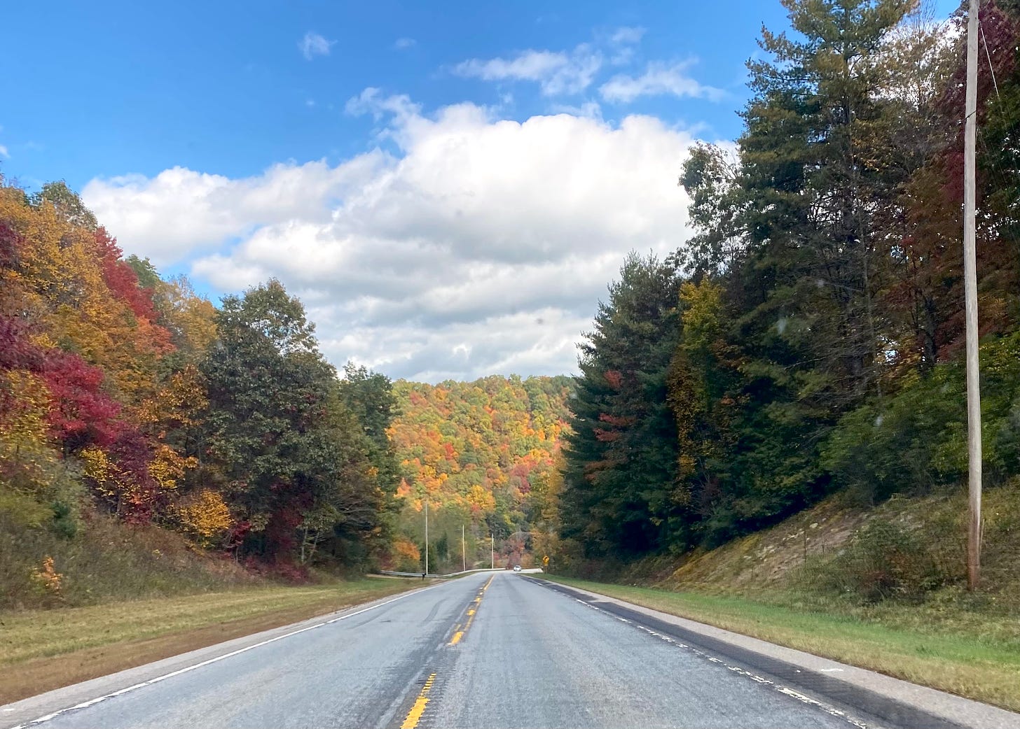 An empty road surrounded by trees of various colors, backdropped by a cloudy blue sky.