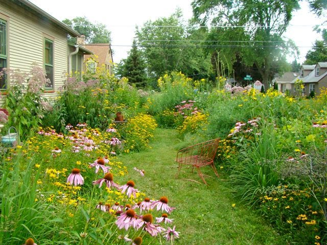 This may contain: a garden filled with lots of flowers next to a house