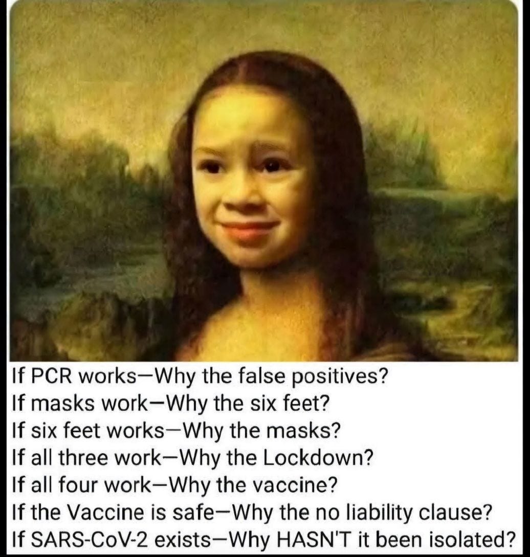 May be an image of 1 person and text that says 'If PCR works-Why worl the false positives? If masks work work-Why -Why the six feet? If six feet works- -Why the masks? If all three work k-Why the Lockdown? If all four work-Why work- the vaccine? If the Vaccine is safe-Why -Why the no liability clause? If SARS-CoV-2 exists- -Why HASN'T it been isolated?'