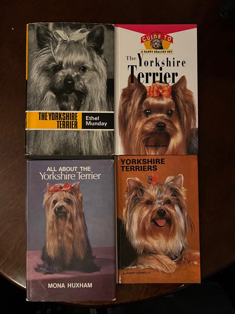 The covers of four books about Yorkshire terriers. They all have covers showing Yorkshire terriers wearing little red bows. Although one of the photos is in black and white. 