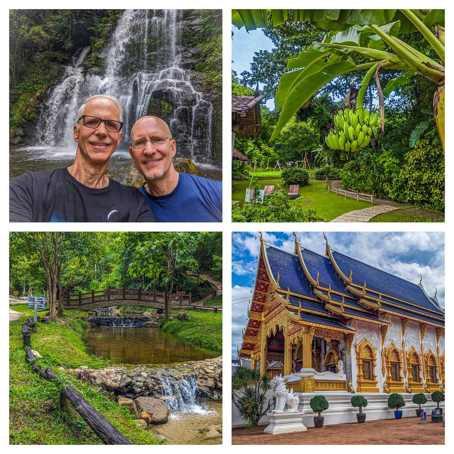 Collage showing highlights of our trip including Brent and Michael in front of a waterfall, the grounds of our hotel in the jungle, including a banana tree, the hot springs we visited, as well as the Blue Temple of Chiang Mai. 