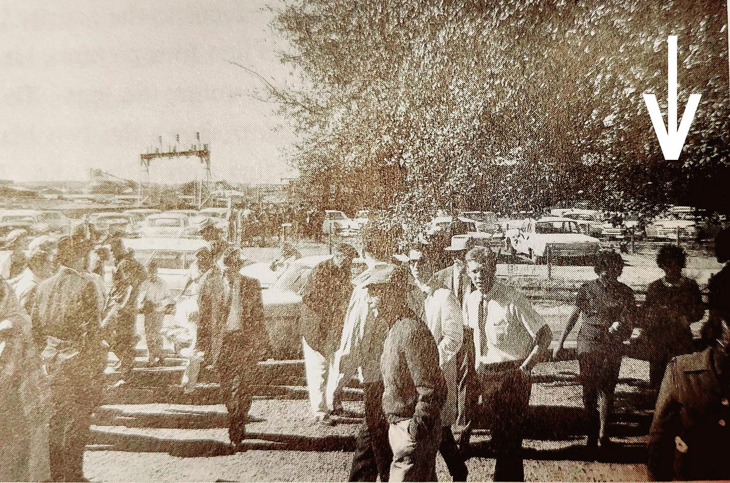 Jim Murray's photo of the parking area behind the north pergola showing an identical Rambler (arrow). 