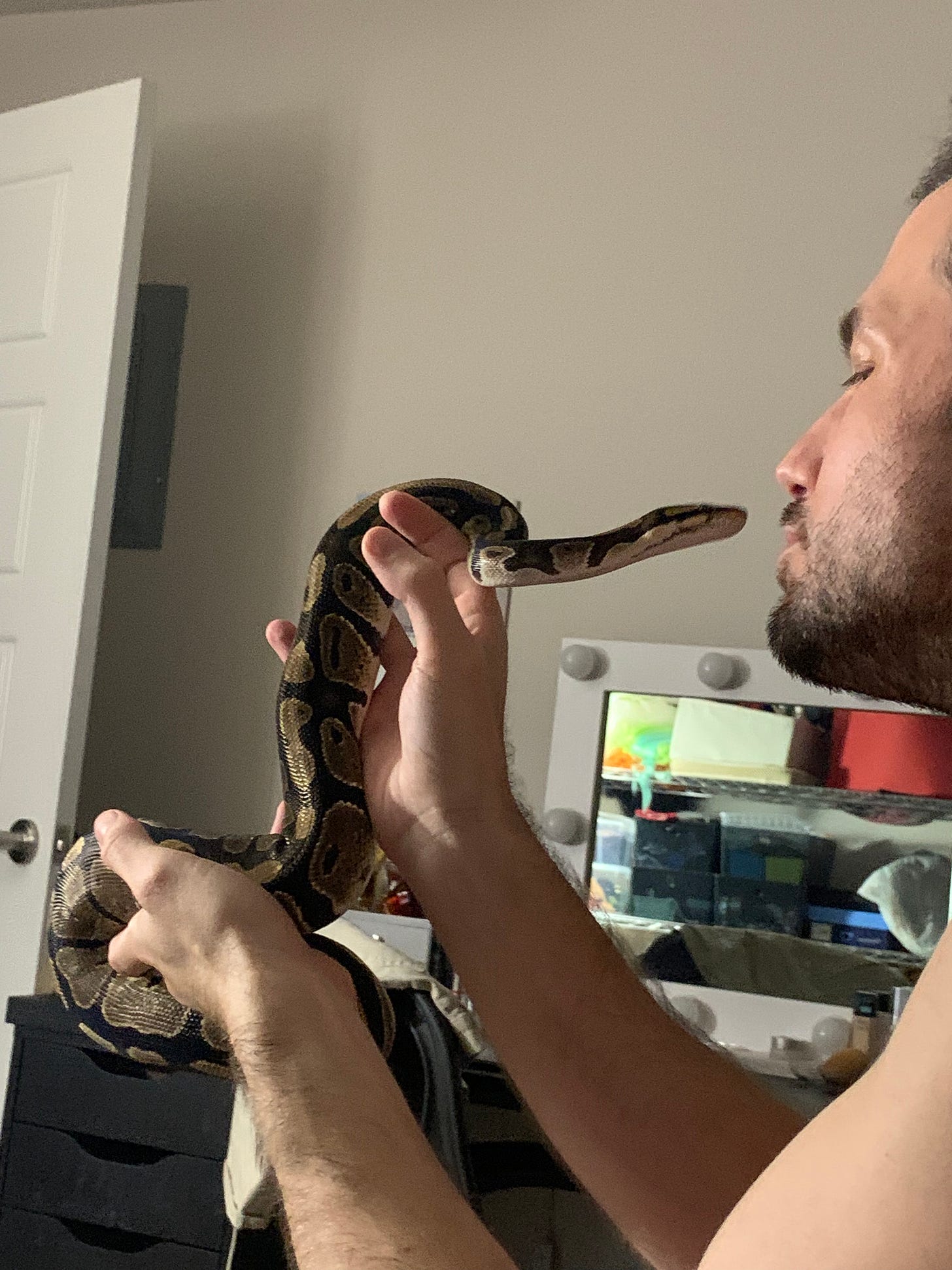 The Snake Diaries Of Orchid The Ball Python