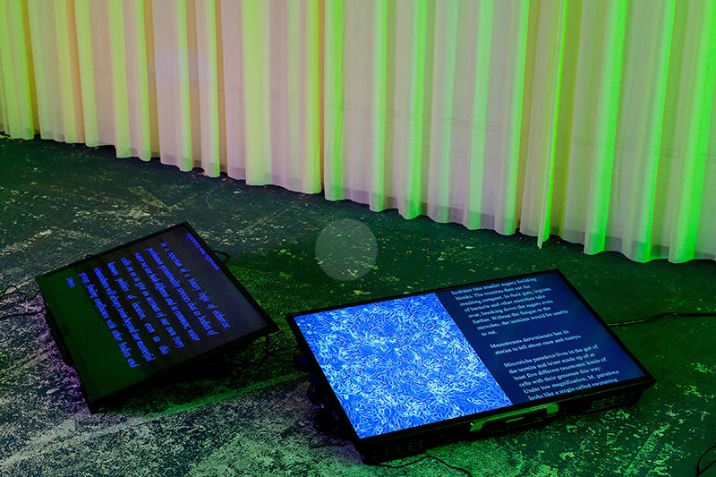 Riikka Tauriainen at Digital Ecologies, Fold II, 2019: Digital  Dramatizations: Ecologies from the Future
