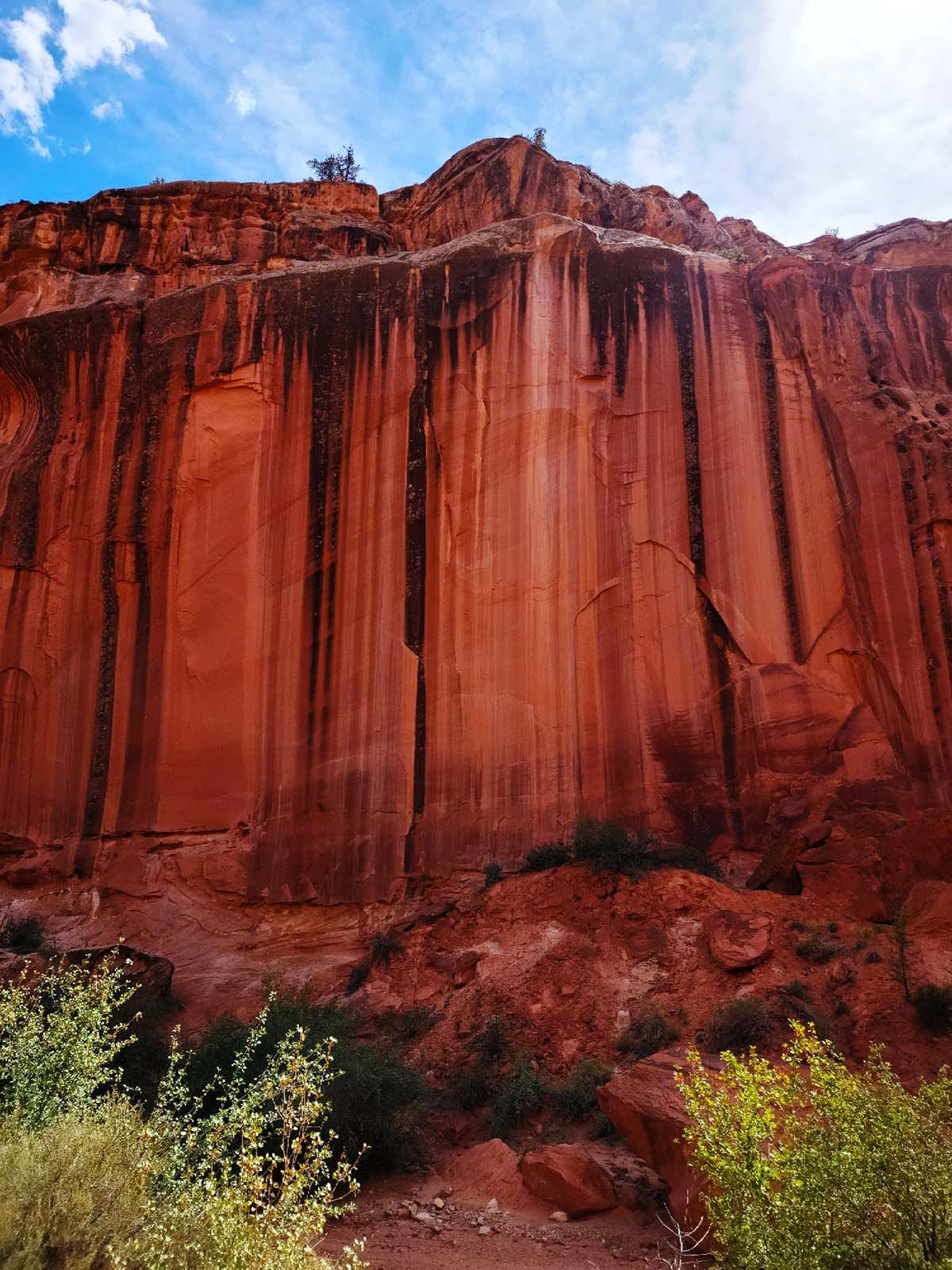 A sheer wall of sandstone in Capitol Reef National Park. 