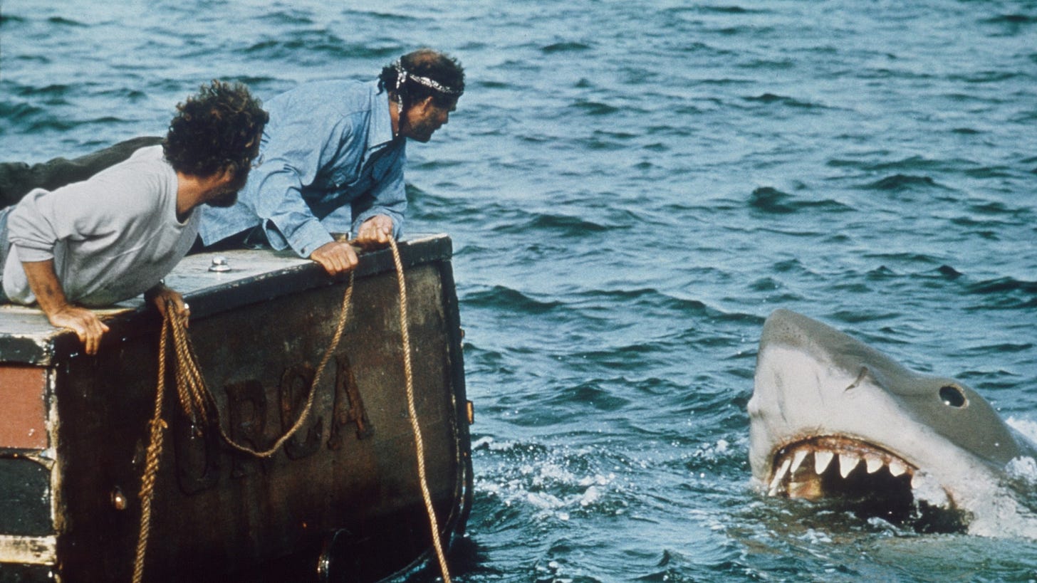 Steven Spielberg regrette l'impact négatif des Dents de la Mer sur l'image  des requins | Vanity Fair