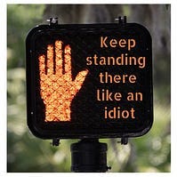 A don't walk sign that says "keep standing there like an idiot"