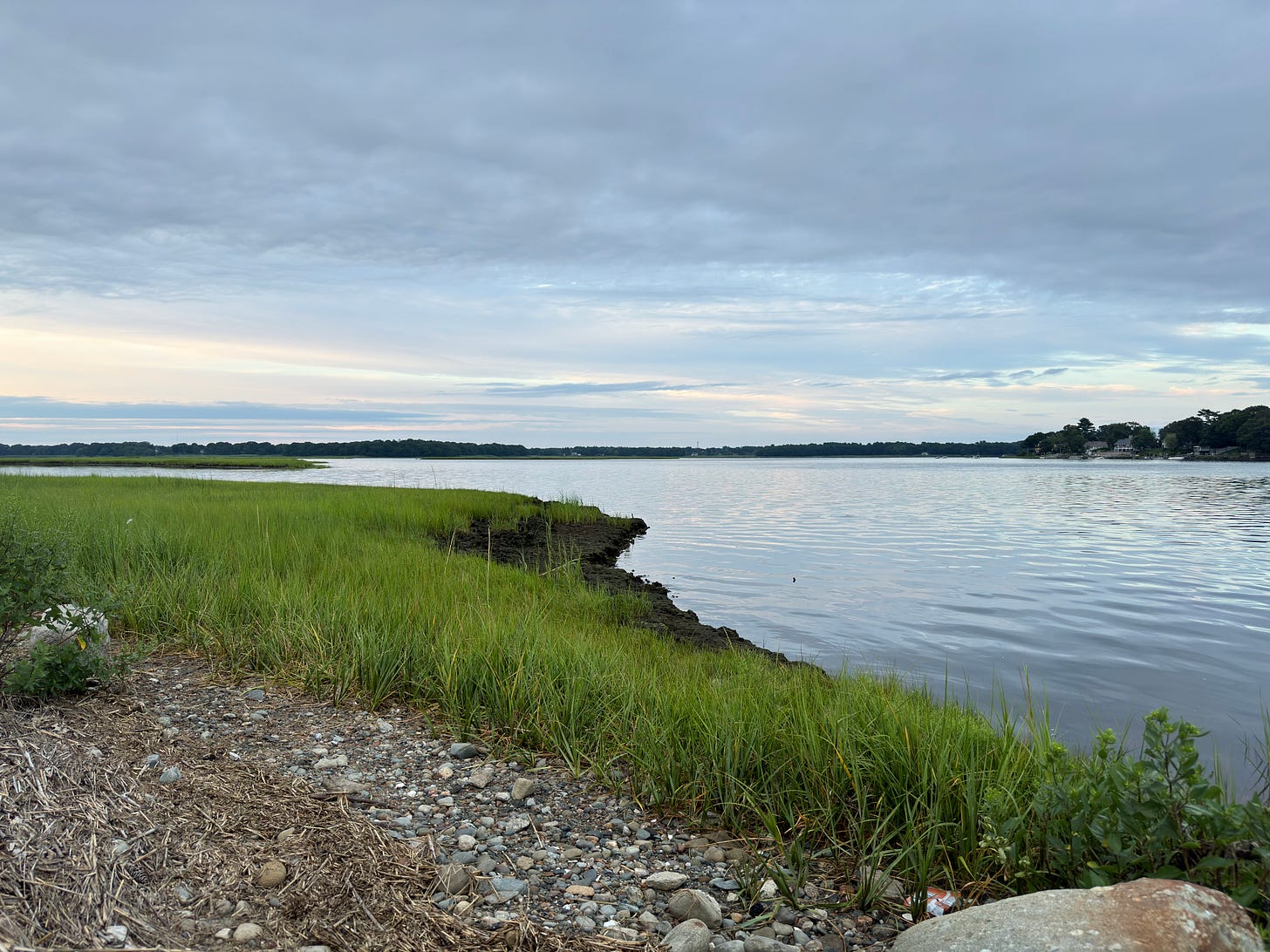 photo of the shoreline by a river. The sky is partially overcast and it is early evening during the summer