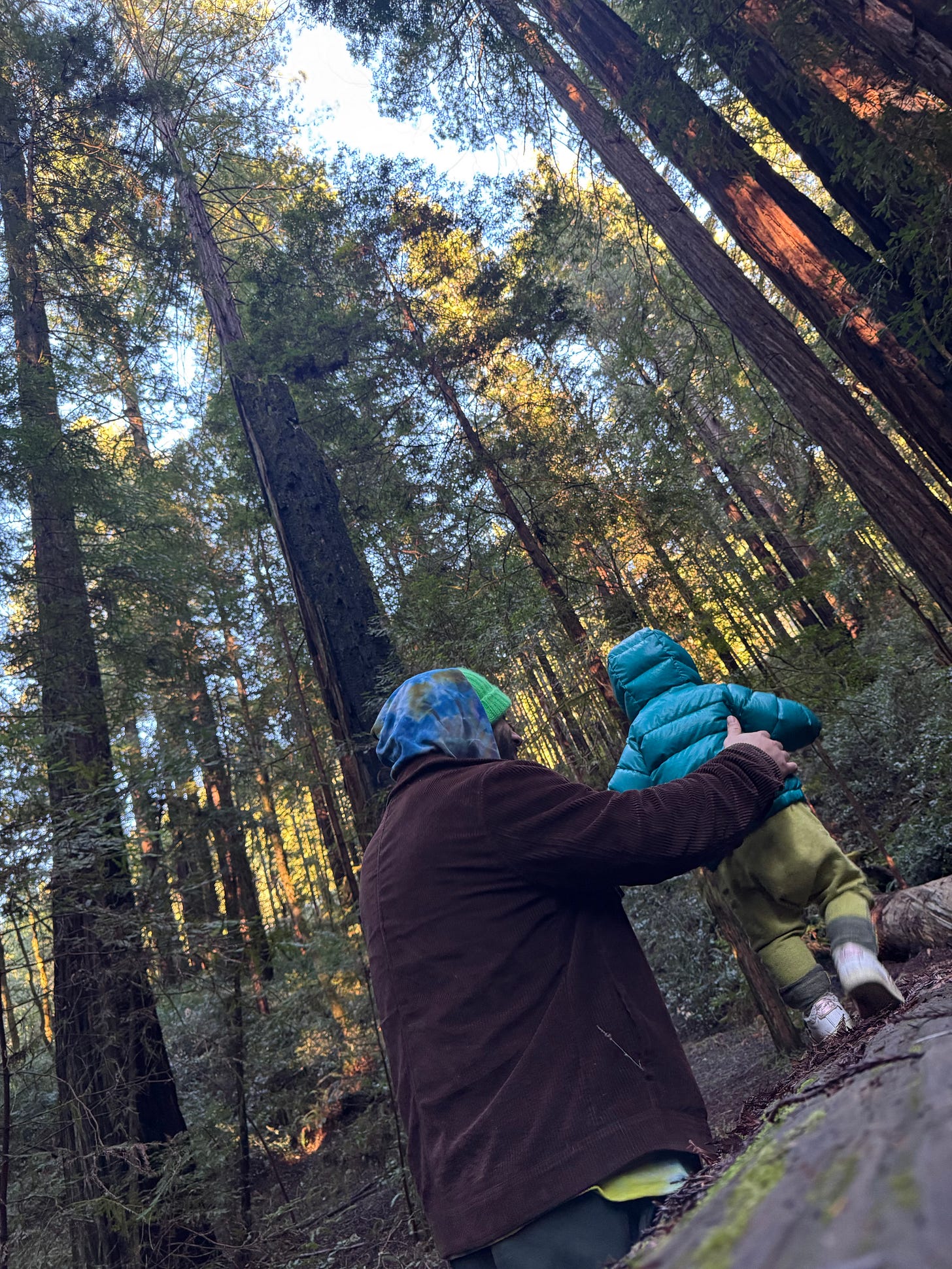 anthony and his daughter in a redwood forrest with trees reaching into the heavens