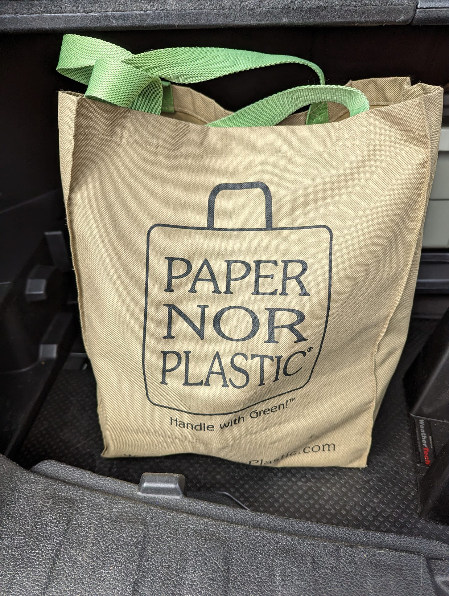A reusable grocery bag sits in the back of a car. It's the same color and i\dimensions as a standard paper bag but with light green straps for handles and it reads in large font on the side "Paper Nor Plastic"