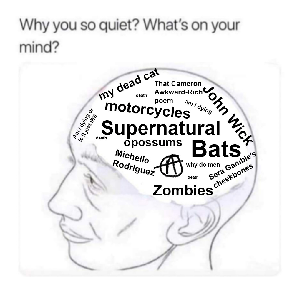 Meme template with the caption “Why so quiet? What’s on your mind?” and a basic drawing of a human head, with an empty area instead of the brain, customized each time the meme is used. Here the area is filled with the following, in black block letters of various sizes: Supernatural, zombies, bats, opossums, anarchism, am I dying or is it IBS, Michelle Rodriguez, John Wick, that poem by Cameron Awkward-Rich, motorcycles, death, why do men, my dead cat, Sera Gamble’s cheekbones, death, am I dying.
