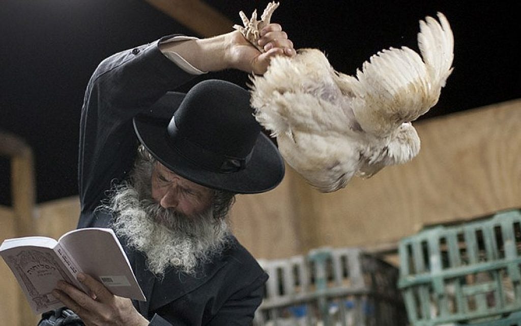 Brooklyn's 'crazy chicken lady' takes on kapparot | The Times of Israel