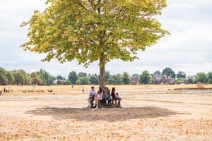 People sheltering under a tree on Wimbledon Common covered in parched grass on a hot and humid day as the hot weather is forecast to return