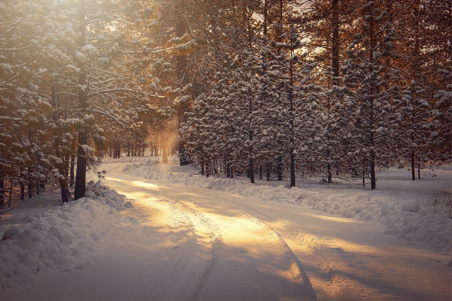 A Functional Medicine Approach to Seasonal Affective Disorder (SAD) Treatment and Management A Functional Medicine Approach to Seasonal Affective Disorder (SAD) Treatment and Management