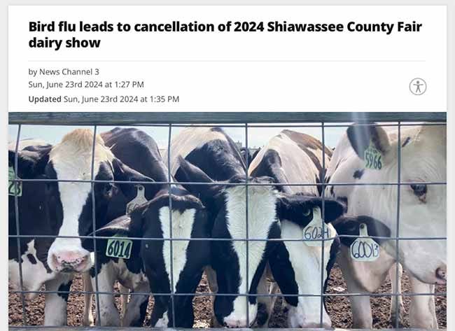 shiawassee country fair cancellation