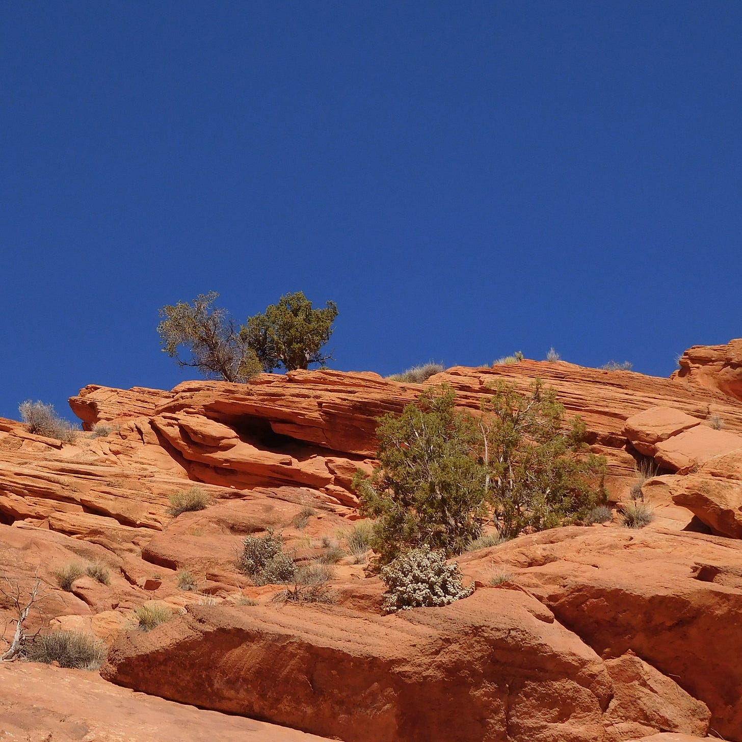 Hillside of red sandstone, with a few small shrubs, under a deep blue sky.