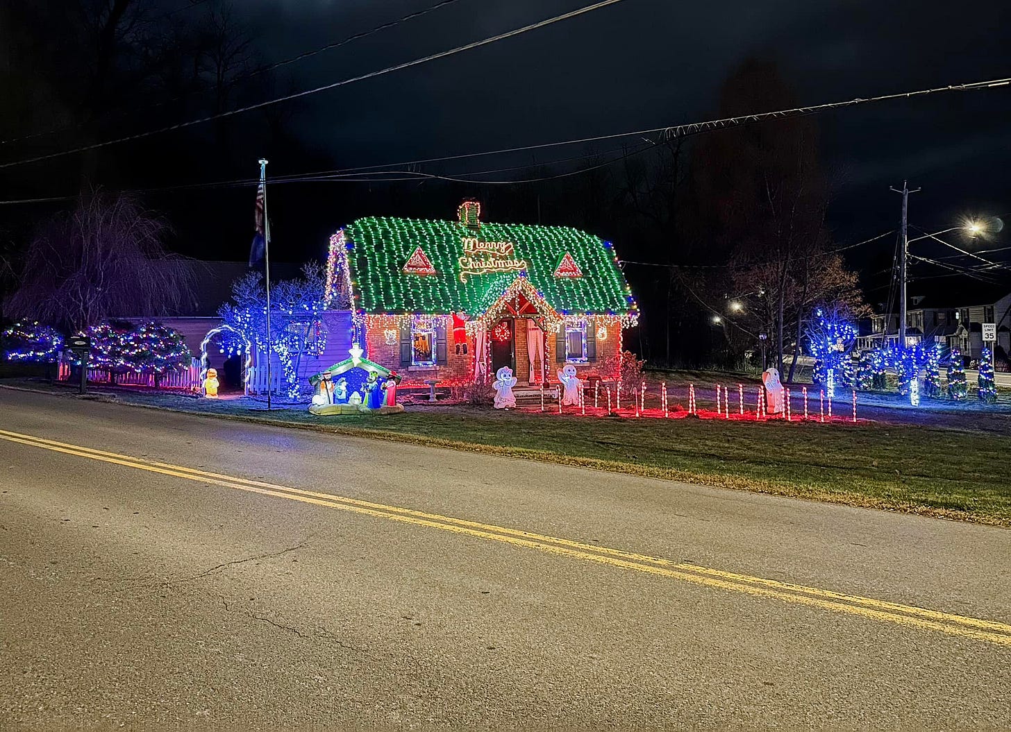 May be an image of 1 person, christmas tree, lighting and text