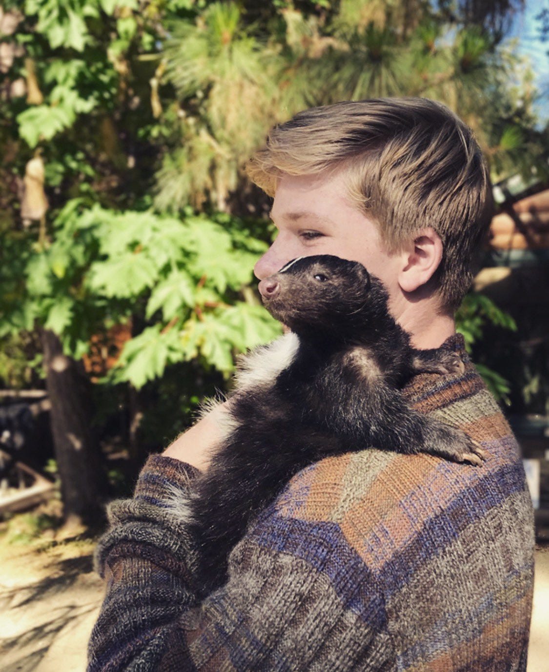 Robert Irwin on Twitter: "Skunk cuddles!! Wish we had these little ...