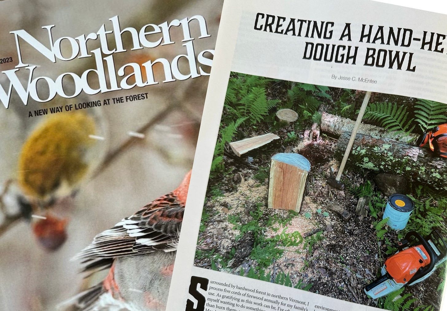 Jesse McEntee's article, "Creating a Hand Hewn Dough Bowl," published in Northern Woodlands Magazine