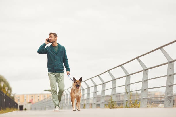 Man with dog walking in the city Young man walking with his dog along the street and talking on mobile phone dog walk city stock pictures, royalty-free photos & images