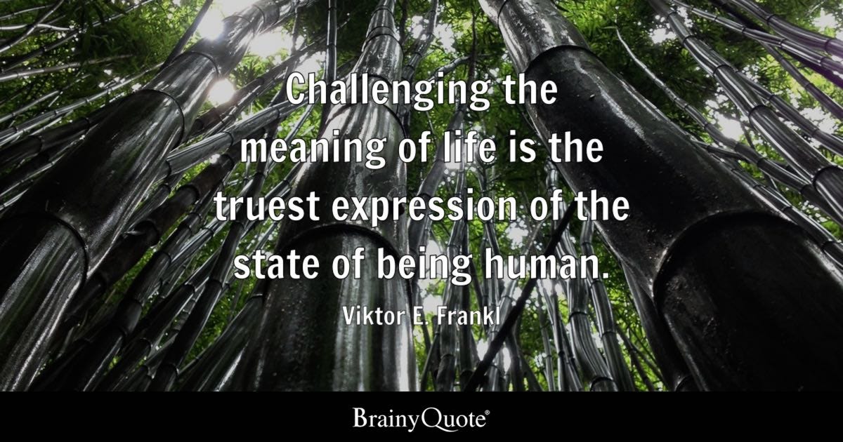 Challenging the meaning of life is the truest expression of the state of being human.