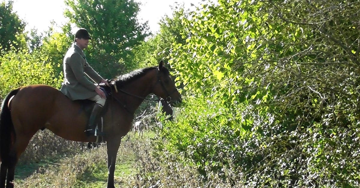 Sam Staniland, huntsman for the Essex and Suffolk Hunt, during a cubbing meet in September 2022.