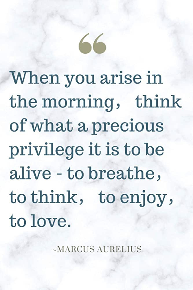 Amazon.com: When you arise in the morning,think of what a precious  privilege it is to be alive - to breathe,to think,to enjoy,to love.: ~Marcus  Aurelius | Lined Notebook: 9798590653621: Notebooks, Ancient Wisdom: