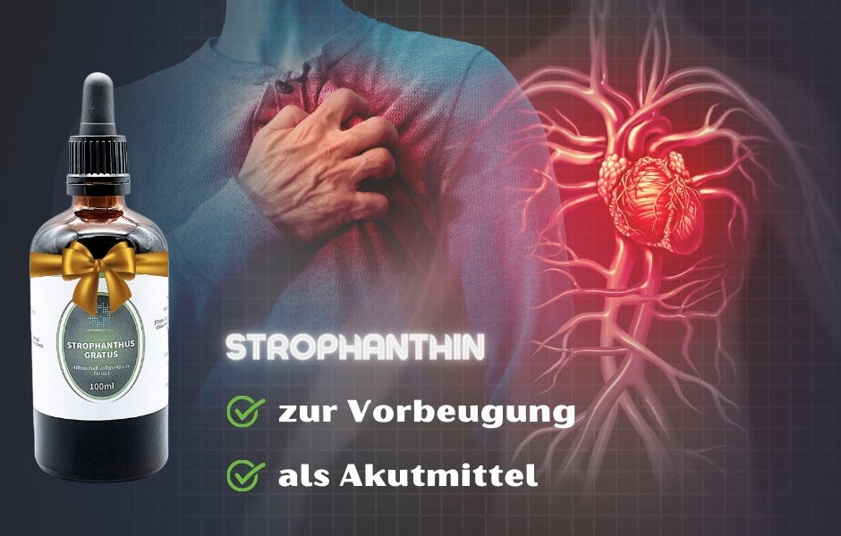 Strophanthin: hervorragendes Mittel bei Herzinsuffizienz, Herzinfarkt sowie bei Schlaganfall, Stress und Impotenz