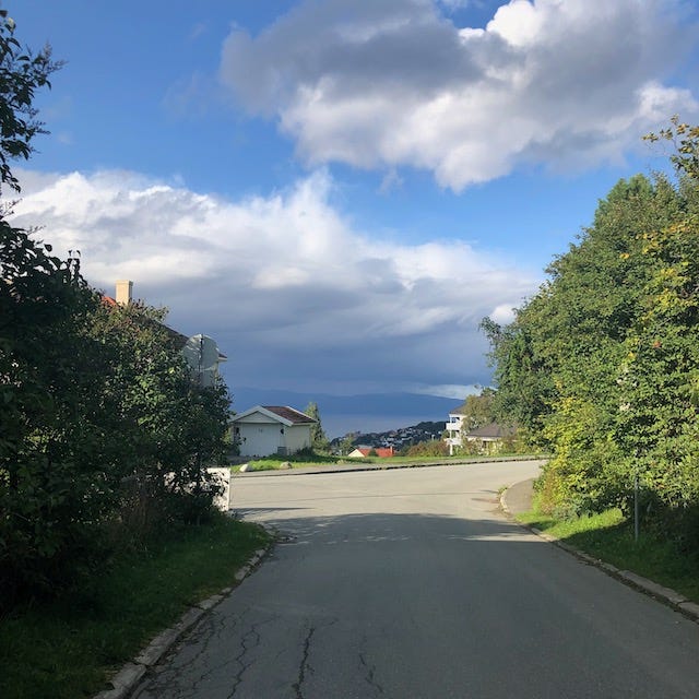 Gate med trær på hver side og mørke regnskyer over hustak og fjord i bakgrunnen