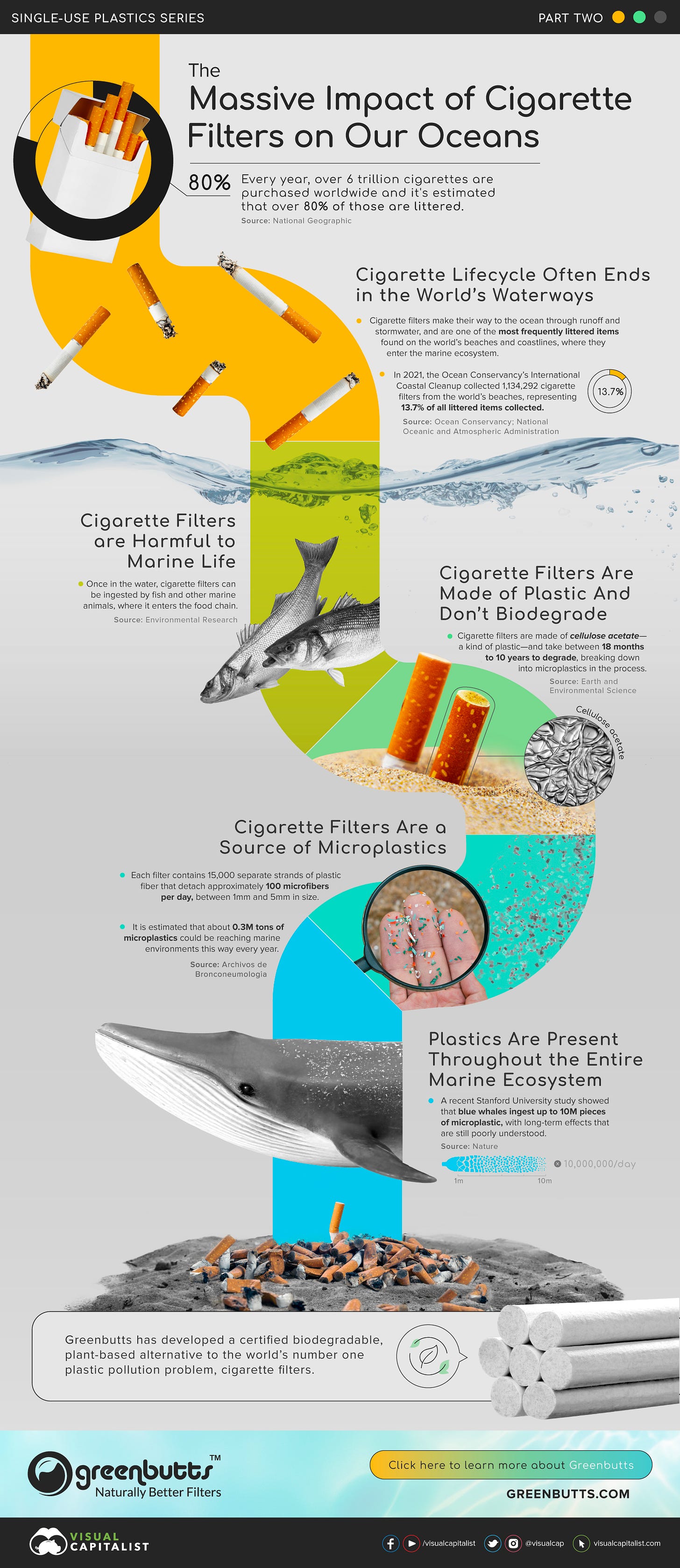 Infographic showing the various ways plastic cigarettes harm ocean life and environments