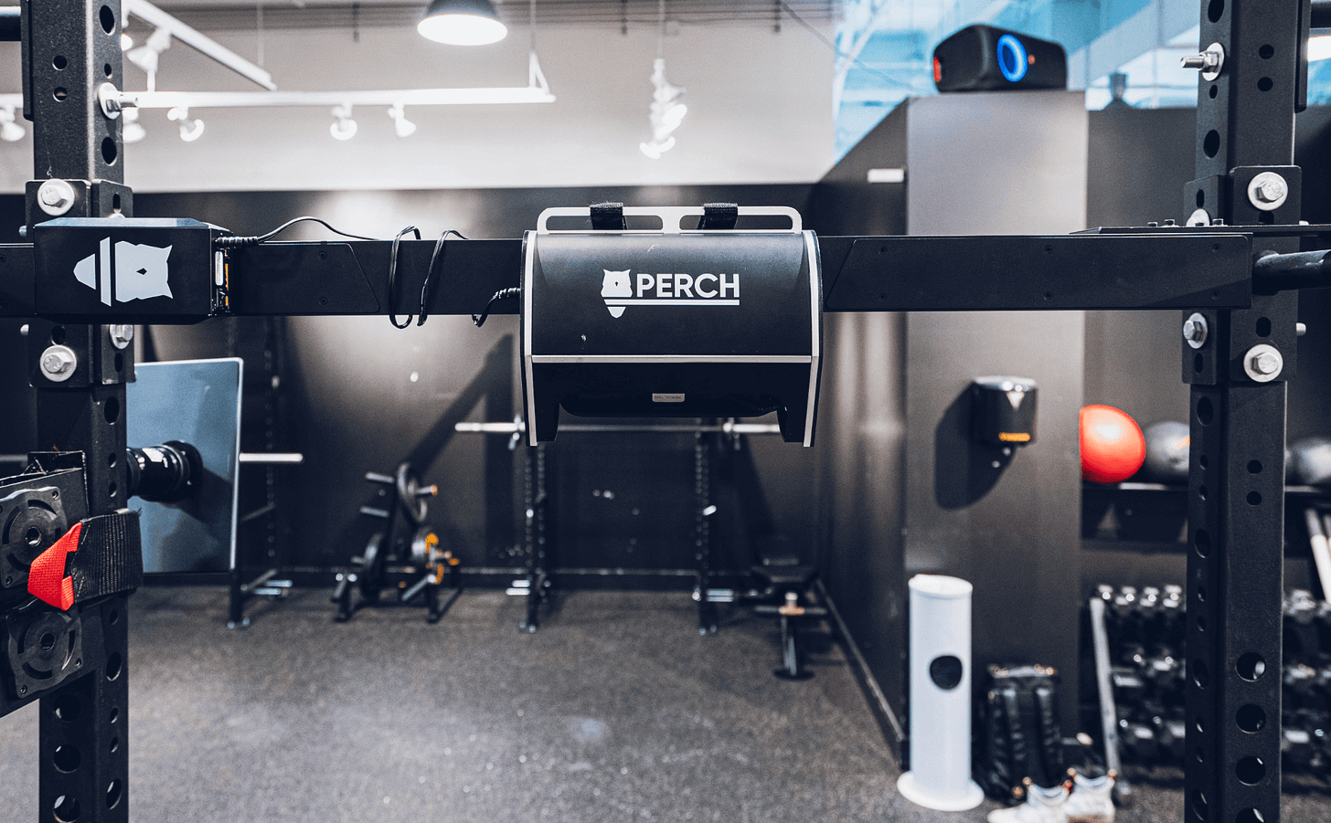The Power of Accurate Load Velocity Profiling | Perch.fit