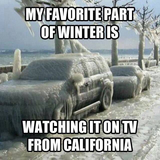 Why We Love the Bay Area in Winter - Bayarea.com