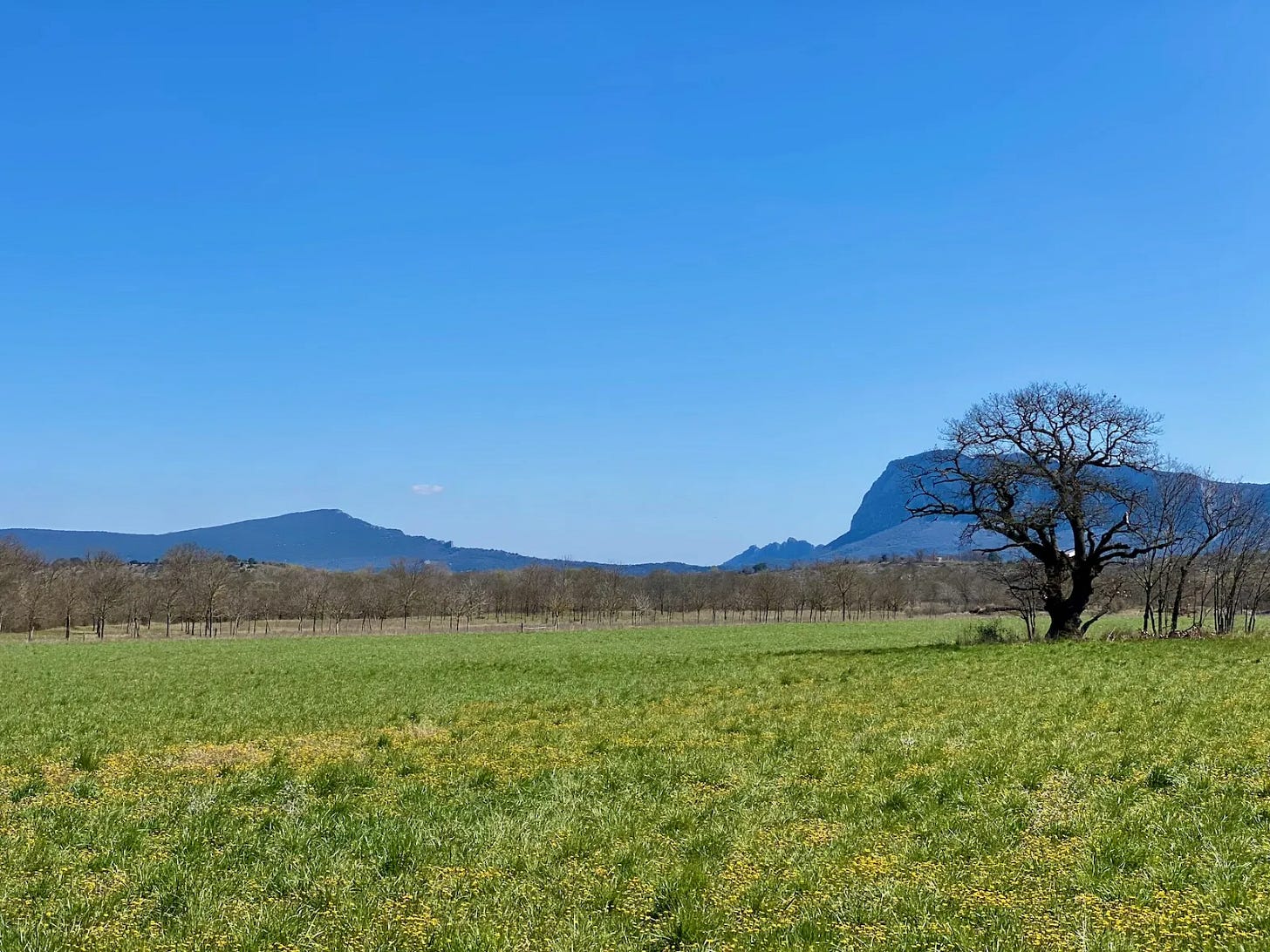 Hortus et pic Saint-Loup Hortus et pic Saint-Loup