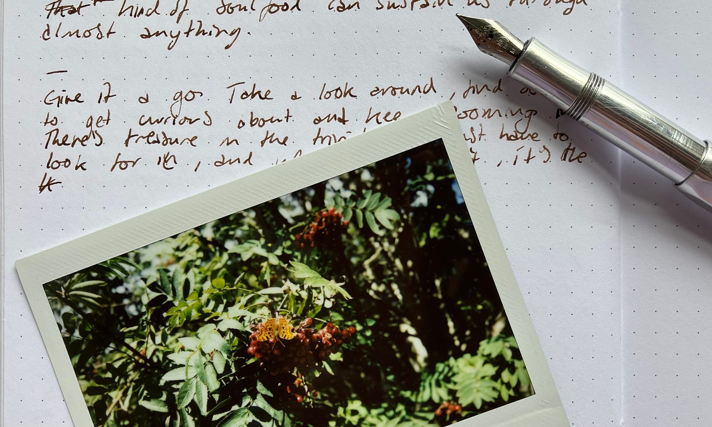Instal image of butterfly on berries lies on a handwritten journal page