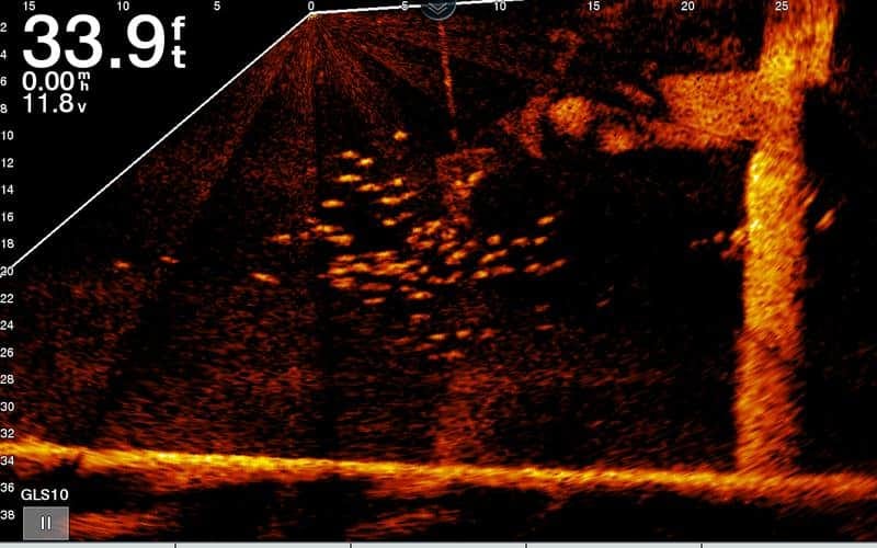 What is Forward Facing Sonar? (How it Works) • Sonar Wars