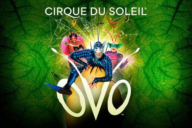 Cirque du Soleil: OVO Tickets | Event Dates & Schedule | Ticketmaster