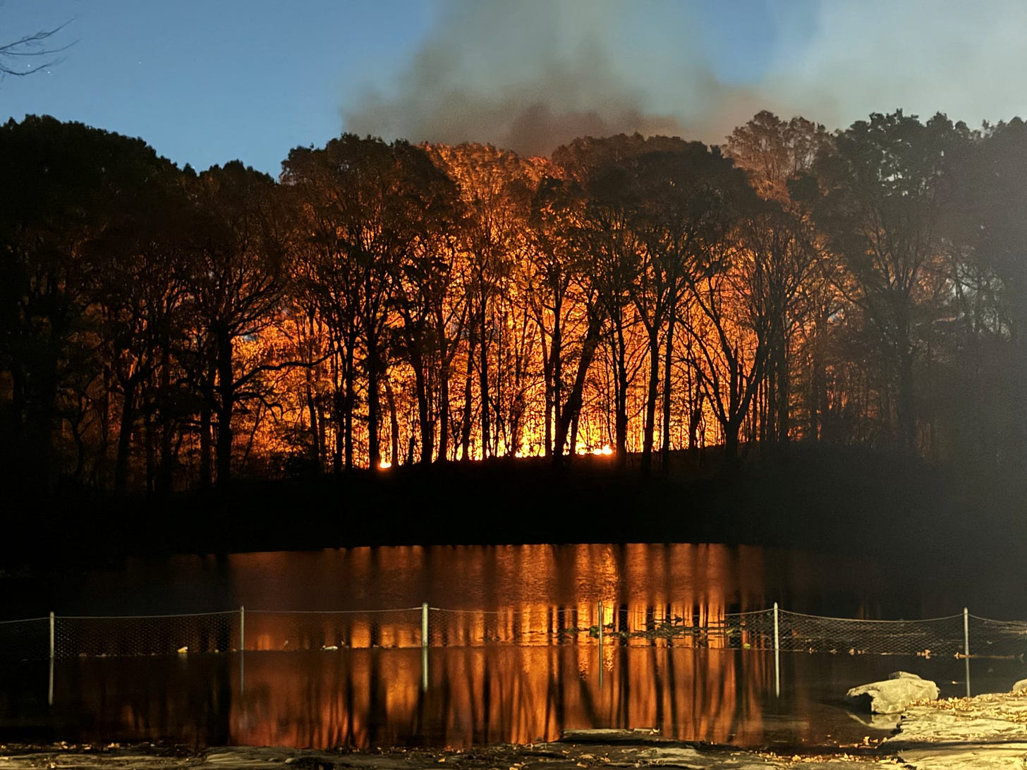 Fire in Prospect Park