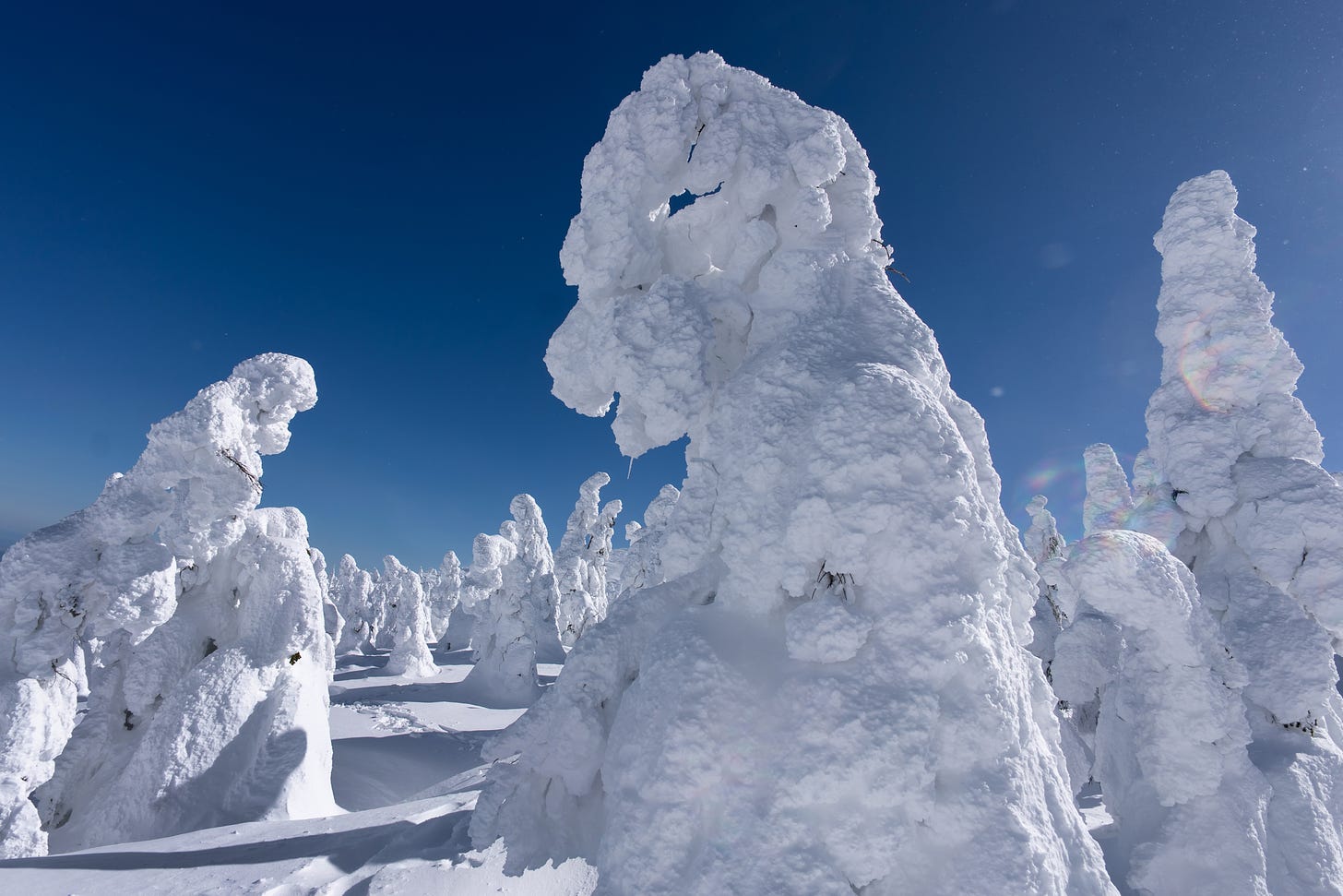 Snow-covered trees, known as "snow monsters" or "Juhyo" in Japanese, are seen on Mount Zao on February 13, 2024 in Yamagata, Japan. (Photo by Tomohiro Ohsumi/Getty Images.)