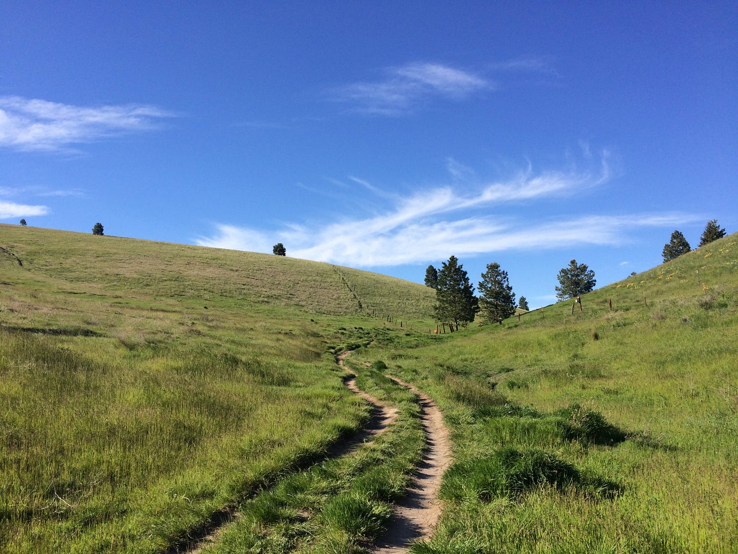 Dirt pathway in the hills