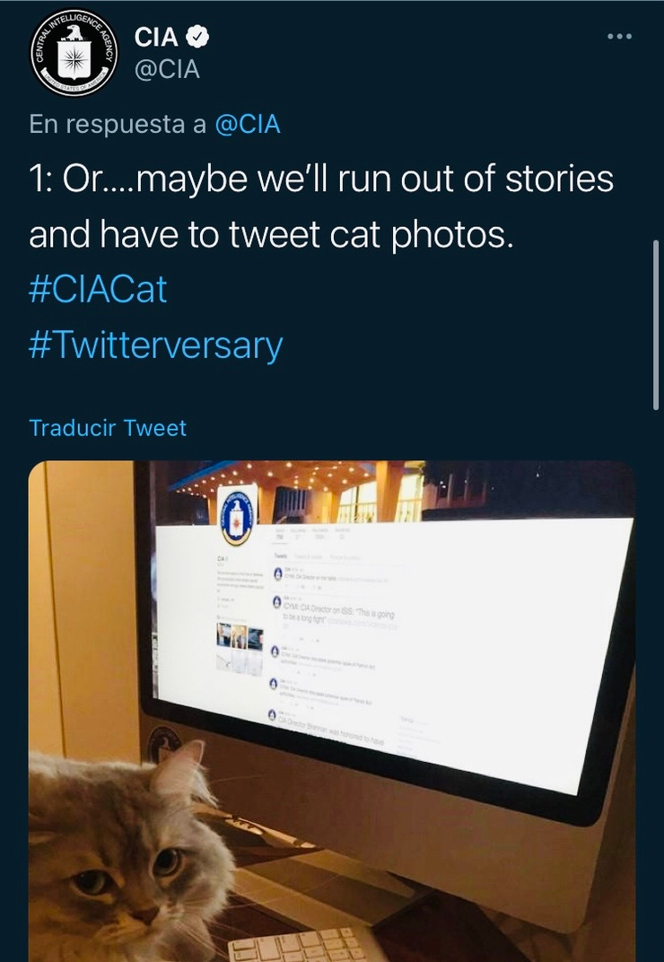 El Gato de la CIA 