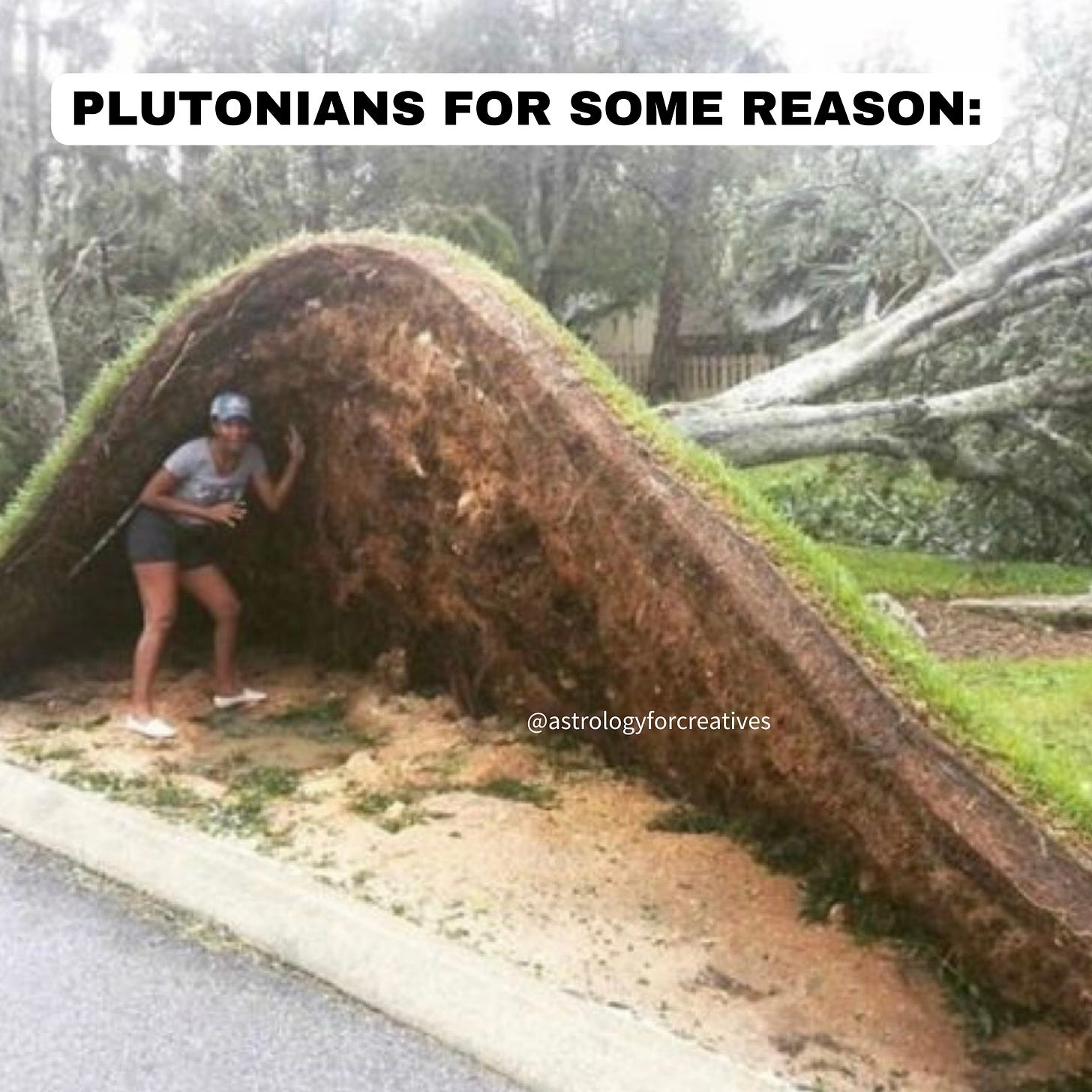 meme of someone under the ground that has lifted up that says plutonians for some reason
