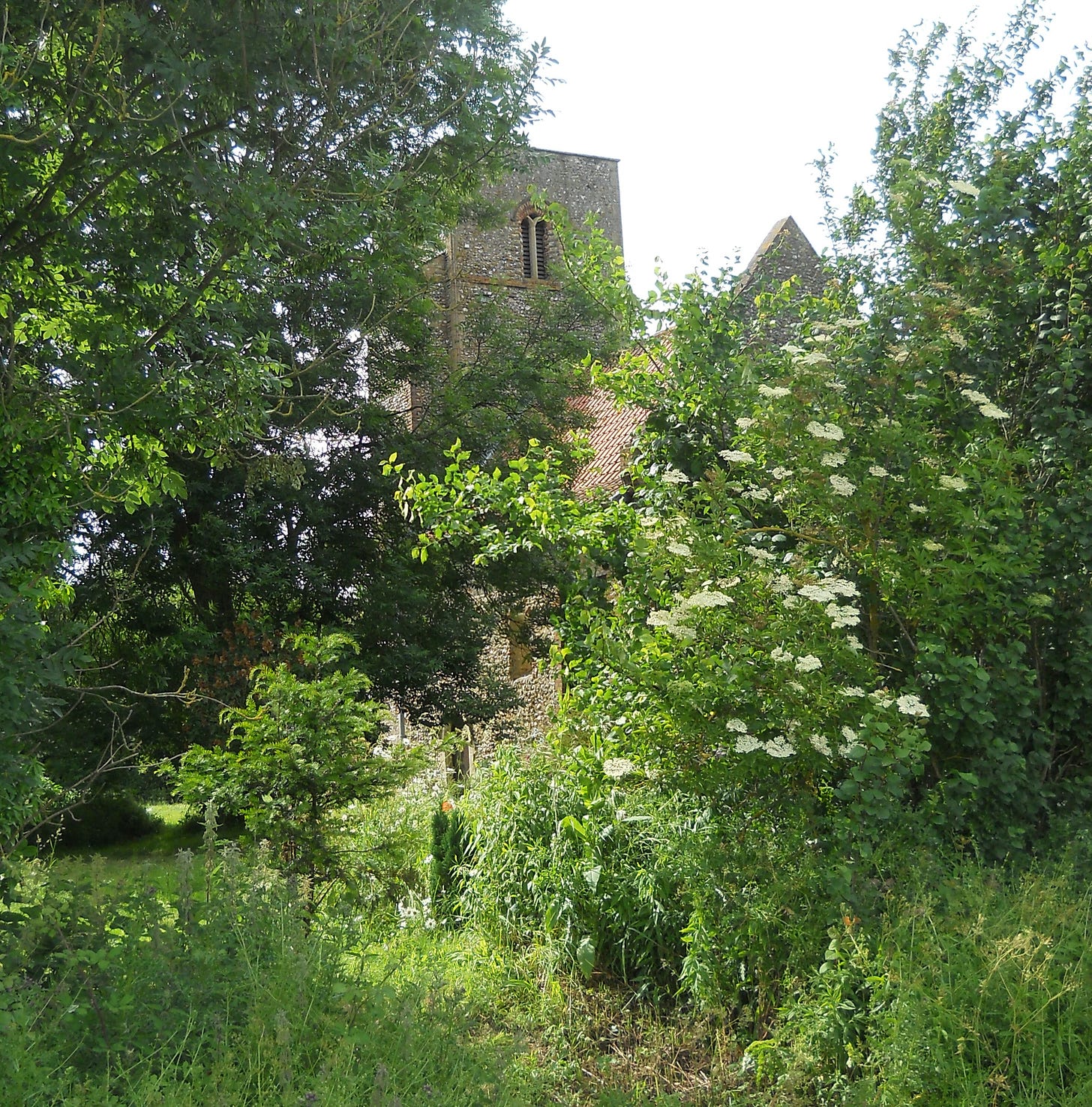 View of the church in recent years. The unruly hedge still prevails.