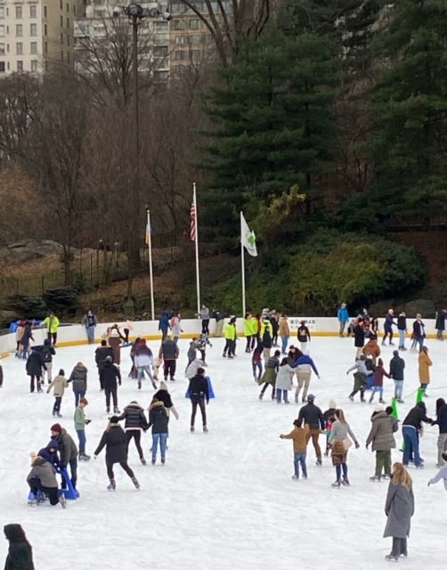 Crowds fill Wollman Rink surrounded by winter trees and apartment towers visible behind them. Across the ice rink from where the author stands with her phone are the New York flag, the American flag, and the parks department flag.