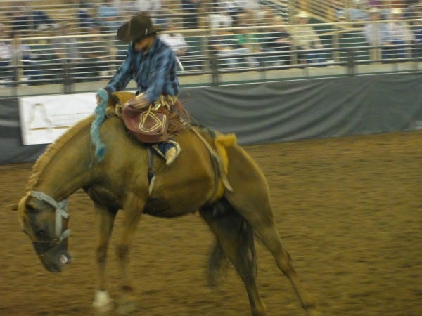 Cowboy at Arcadia Rodeo